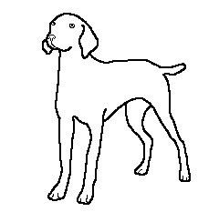 vizla1.gif
